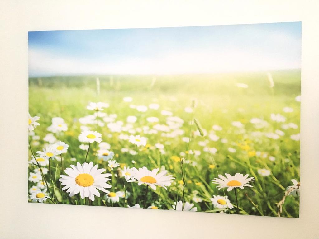 רגנסבורג Apartment Flowerside מראה חיצוני תמונה