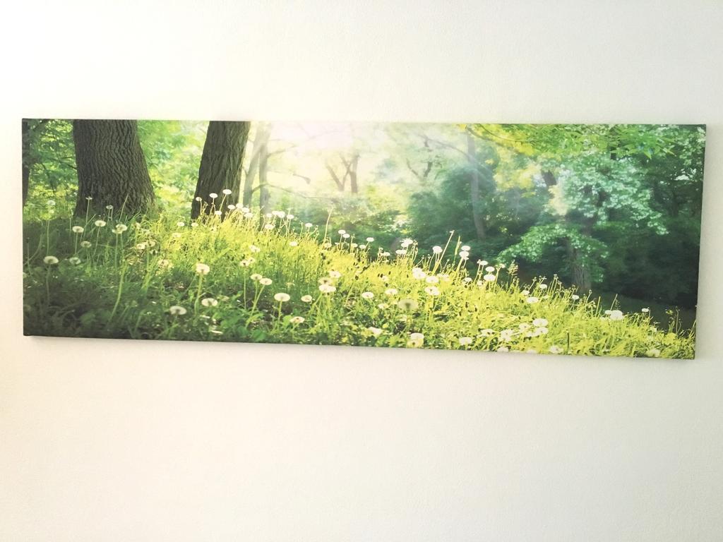 רגנסבורג Apartment Flowerside מראה חיצוני תמונה